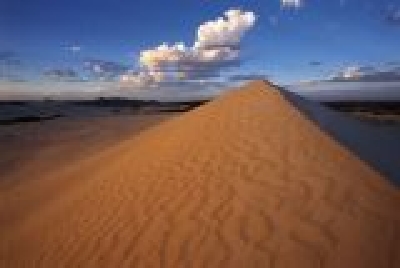 Känguruh Island-SA Ki2.jpg